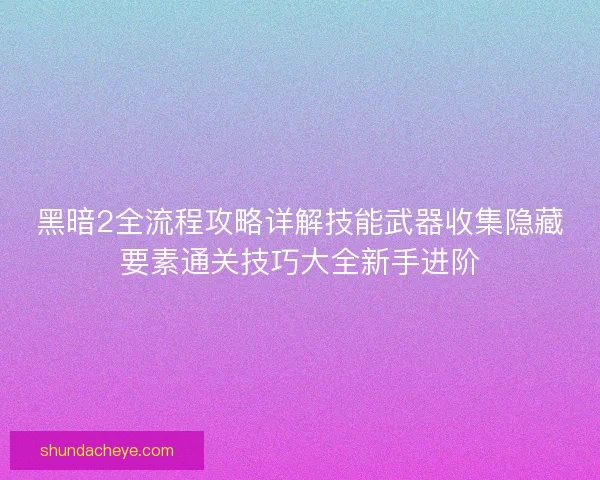 黑暗2全流程攻略详解技能武器收集隐藏要素通关技巧大全新手进阶